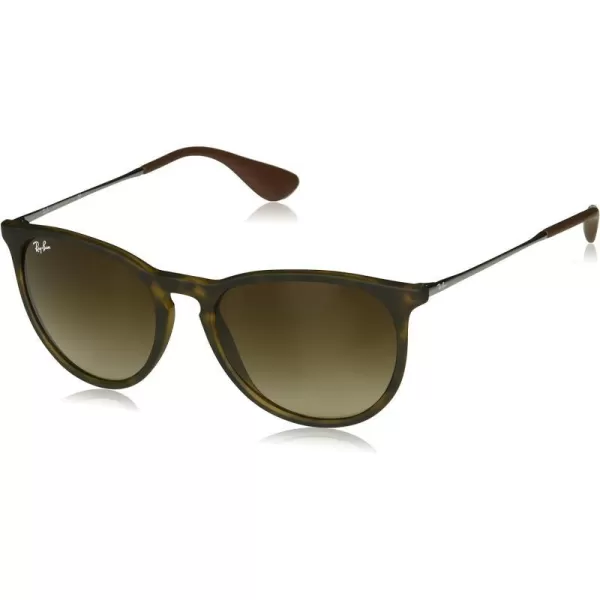 RayBan Rb4171 Erika Round SunglassesTortoise