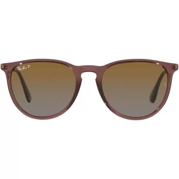 RayBan Rb4171 Erika Round SunglassesTransparent Dark BrownPolarized Brown Gradient