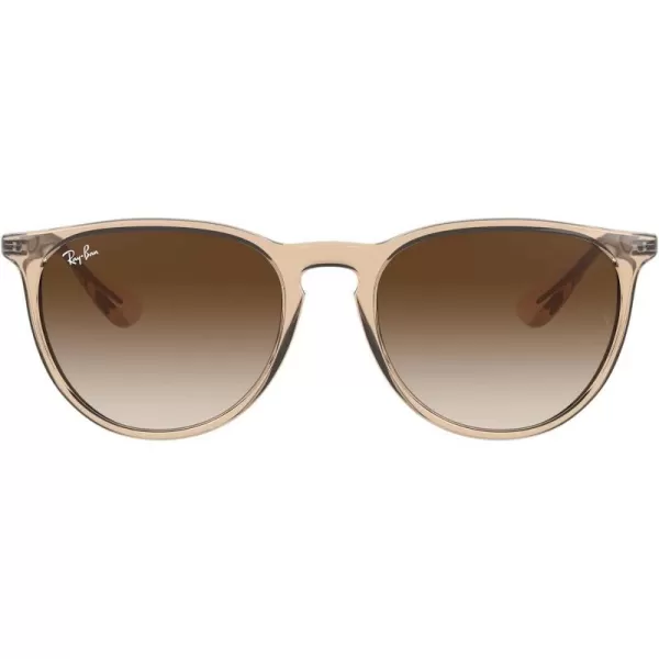 RayBan Rb4171 Erika Round SunglassesTransparent Light BrownBrown Gradient Dark Brown