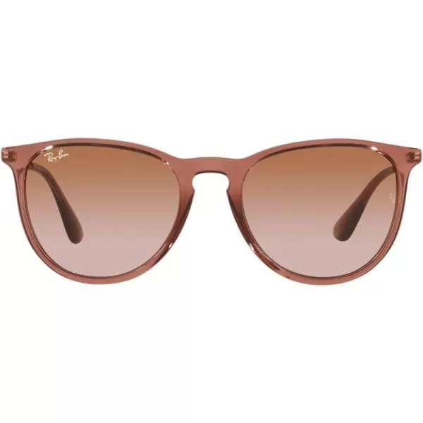 RayBan Rb4171 Erika Round SunglassesTransparent Light BrownGradient Brown