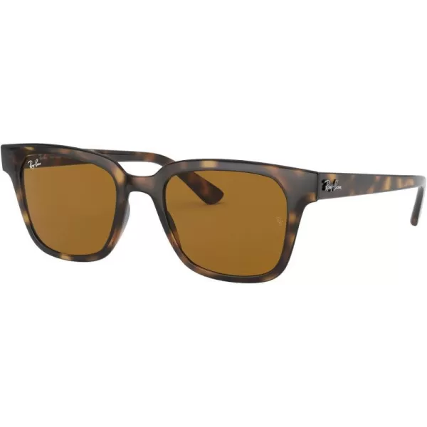 Light Havana/B-15 Brown