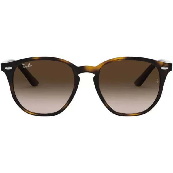 RayBan Rj9070s Round SunglassesHavanaBrown Gradient Dark Brown