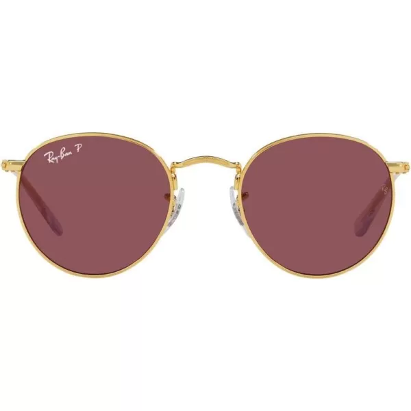 RayBan Rj9547s Metal Round SunglassesLegend GoldPurple Polarized