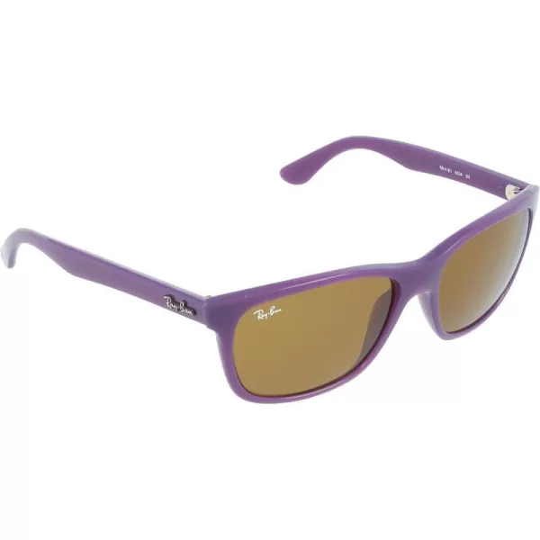 RayBan Sunglasses Highstreet  RB4181 6034  VioletBrown Classic B15RayBan Sunglasses Highstreet  RB4181 6034  VioletBrown Classic B15