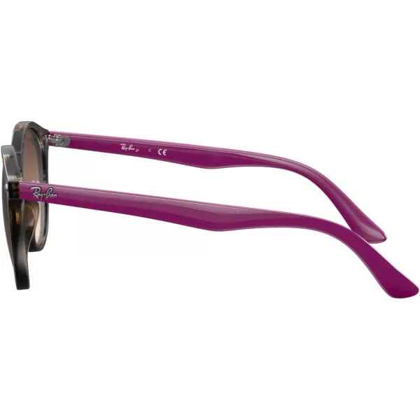 imageRayBan Kids RJ9064S Round SunglassesHavana VioletBrown Gradient Dark Brown