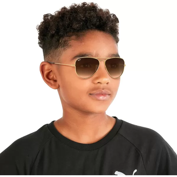 imageRayBan Kids RJ9506S Metal Aviator SunglassesAristaBrown Gradient Dark Brown