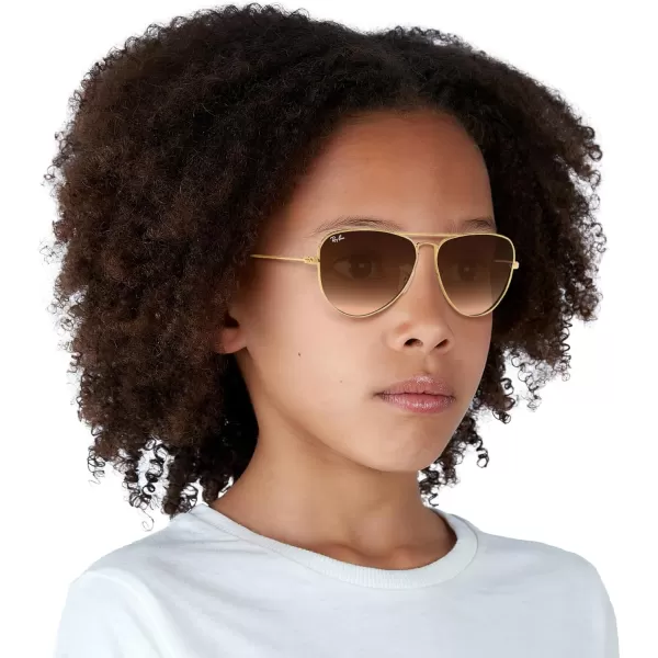 imageRayBan Kids RJ9506S Metal Aviator SunglassesAristaBrown Gradient Dark Brown