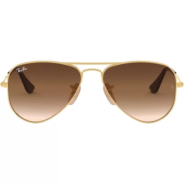 imageRayBan Kids RJ9506S Metal Aviator SunglassesAristaBrown Gradient Dark Brown