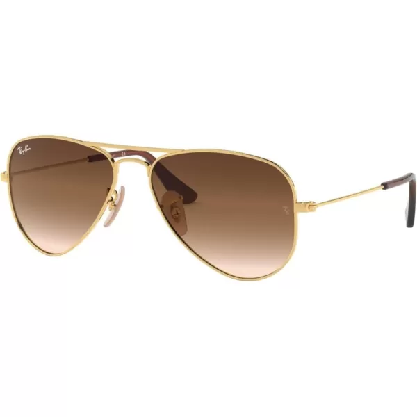 imageRayBan Kids RJ9506S Metal Aviator SunglassesAristaBrown Gradient Dark Brown