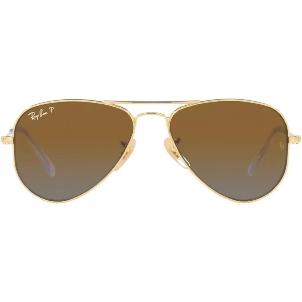 Gold/Brown Gradient Polarized