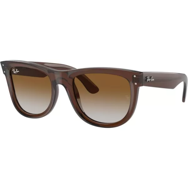 imageRayBan Womens Rbr0502s Wayfarer Reverse Square SunglassesTransparent BrownClear Gradient Brown