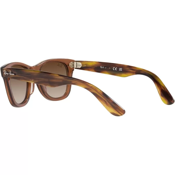 imageRayBan Kids RJ9066S Wayfarer Square SunglassesTransparent BrownBrown Gradient