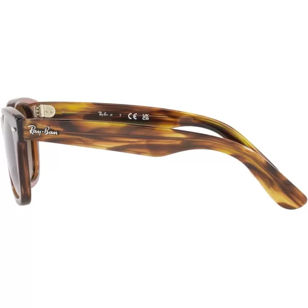 imageRayBan Kids RJ9066S Wayfarer Square SunglassesTransparent BrownBrown Gradient