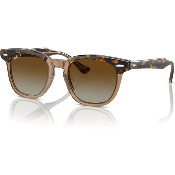 imageRayBan Rj9098s Square SunglassesHavana on TransparentBrown Gradient Polarized