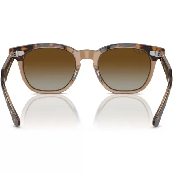 imageRayBan Rj9098s Square SunglassesHavana on TransparentBrown Gradient Polarized