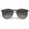 imageRayBan RB4171 Erika Round SunglassesRubber BlueGradient Grey