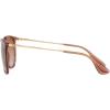imageRayBan RB4171 Erika Round SunglassesTransparent Light BrownGoldGradient Brown