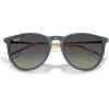 imageRayBan RB4171F Erika Low Bridge Fit Round SunglassesRubber BlueGrey Gradient