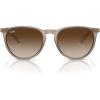 Transparent Light Brown/Brown Gradient