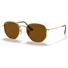 Gold/Polarized B-15 Brown