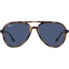 Havana/Dark Blue