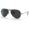 Black/Polarized Black