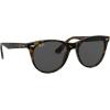 imageRayBan Wayfarers Square SunglassesHavana on Transparent BrownDark Grey
