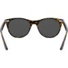 imageRayBan Wayfarers Square SunglassesHavana on Transparent BrownDark Grey