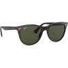imageRayBan Wayfarers Square SunglassesTortoiseG15 Green