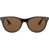 Tortoise/B-15 Brown Polarized