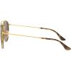 image:imageRayBan Unisex Rb3647n Double Bridge Round SunglassesGoldPolarized B15 Brown