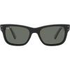 Black/Polarized Green