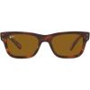 Striped Havana/Brown