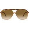 Havana on Transparent Brown/Clear Gradient Brown