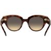 image:imageRayBan womens Rb2192 Roundabout Round SunglassesHavana on Transparent PinkBrown Gradient