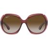 Transparent Dark Brown/Grey Gradient Brown Polarized