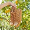 imageBEARPAW Womens Prominence Sandal  Womens Sandal  Womens Shoe  Comfortable ampamp Lightweight  Multiple Colors ampamp SizesBrown