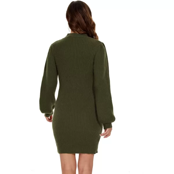 EverPretty Womens Slim Long Lantern Sleeve Winter Knit Pullover Sweater Dresses 40395Dark Green