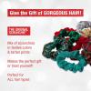 imageScunci by Conair The Original Super Comfy Waffle Knit Scrunchie hair accessories  hair accessories for women  Assorted Colors 36 CountWinter Classic