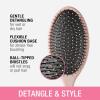 imageConair Detangling Hair Brush 3PK  For wet and dry hair  curly hair brush  hair brushes for women  detangler brush  hair brushes for women  Evergreen Blush Pink Black AssortedEvergreen Blush Pink Black