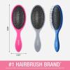imageConair Detangling Hair Brush 3PK  For wet and dry hair  curly hair brush  hair brushes for women  detangler brush  hair brushes for women  Evergreen Blush Pink Black AssortedBlue Pink Grey