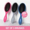 imageConair Detangling Hair Brush 3PK  For wet and dry hair  curly hair brush  hair brushes for women  detangler brush  hair brushes for women  Evergreen Blush Pink Black AssortedBlue Pink Grey