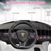 imageINFANS 12V Licensed Lamborghini Sian Kids Ride On Car with Parent Remote Control Spring Suspension MP3 Player Electric Toy Roadster Carbon Fiber Textured for Toddler RedWhite