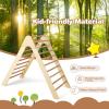 imageINFANS 12 in 1 Climbing Toys for Toddlers Upgrade Wooden Montessori Foldable Triangle Climber Set with Reversible Ramp Slide Ladder Seesaw Indoor Pikler Climb Activity Jungle for Kids Age 33 in 1