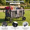 image:imageINFANS 4 Seater Wagon Stroller AllTerrain Foldable Wagon for 4 Kids with Adjustable Push Pull Handles 5Point Harness Detachable Seats Snack Tray Insulated Organizer Removable Canopy GreyGray