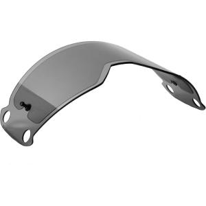 imageFox Racing UnisexAdult VUE Dual PANE LensDark GreyOne Size