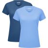 Blue Grey/Light Blue