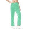 imageMAGCOMSEN Womens Velour Pants Soft Velvet Straight Leg Sweatpants Elastic Waist Warm Lounge Pant with PocketsMint Green