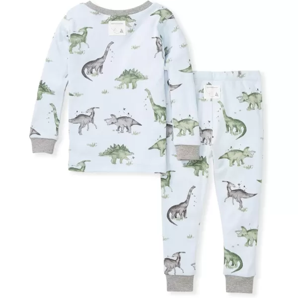 Burt's Bees Baby Baby Boys' Pajamas, Tee and Pant 2-Piece Pj Set, 100% Organic Cotton