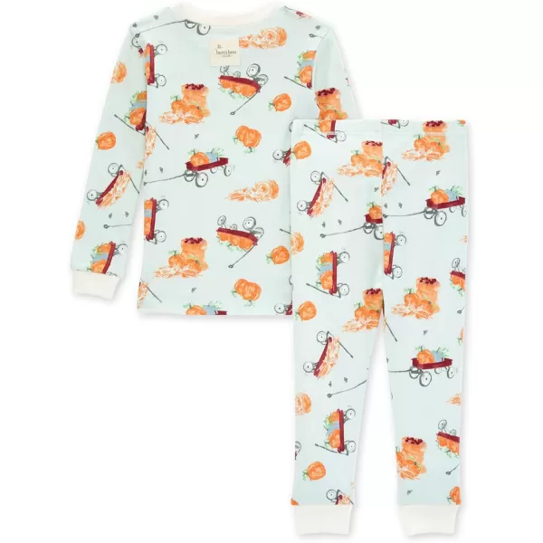 Burt's Bees Baby Baby Boys' Pajamas, Tee and Pant 2-Piece Pj Set, 100% Organic Cotton